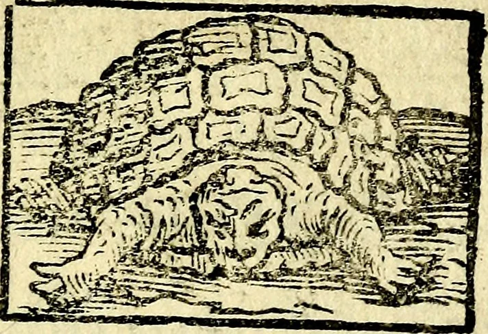 An illustration from Io: Francisci Bonomij Bononiensis Chiron Achillis, siue, Nauarchus humanæ uitæ : morali emblemate geminato ad felicitatis portum perducens, 1661, leaf 310