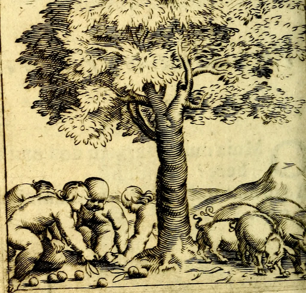 An illustration from Io: Francisci Bonomij Bononiensis Chiron Achillis, siue, Nauarchus humanæ uitæ : morali emblemate geminato ad felicitatis portum perducens, 1661, leaf 311