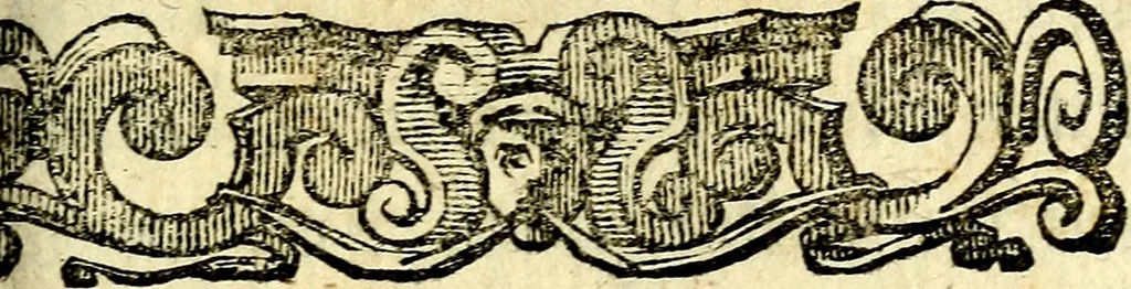 An illustration from Io: Francisci Bonomij Bononiensis Chiron Achillis, siue, Nauarchus humanæ uitæ : morali emblemate geminato ad felicitatis portum perducens, 1661, leaf 358