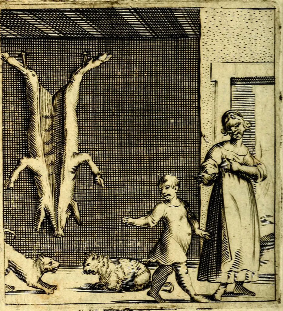 An illustration from Io: Francisci Bonomij Bononiensis Chiron Achillis, siue, Nauarchus humanæ uitæ : morali emblemate geminato ad felicitatis portum perducens, 1661, leaf 373