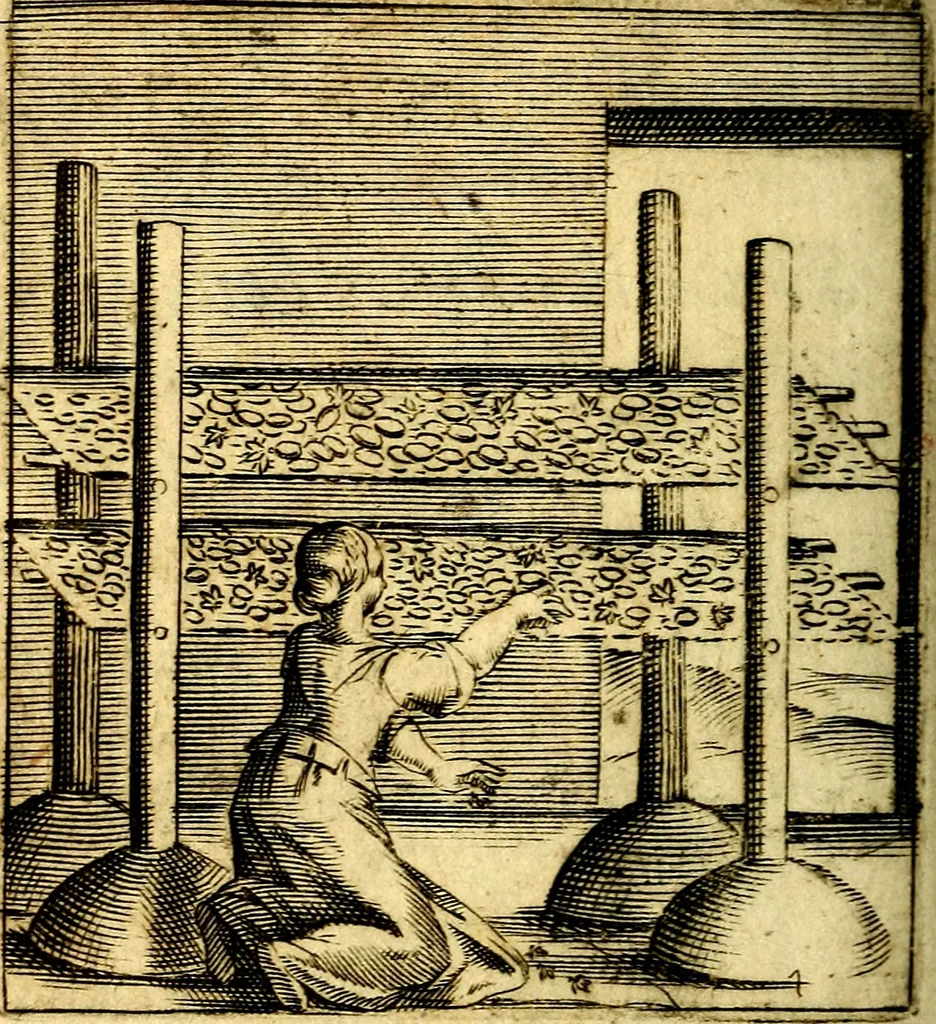 An illustration from Io: Francisci Bonomij Bononiensis Chiron Achillis, siue, Nauarchus humanæ uitæ : morali emblemate geminato ad felicitatis portum perducens, 1661, leaf 409