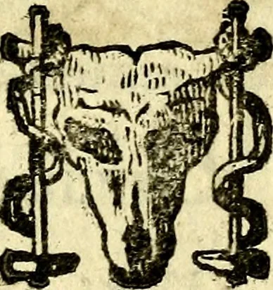 An illustration from Io: Francisci Bonomij Bononiensis Chiron Achillis, siue, Nauarchus humanæ uitæ : morali emblemate geminato ad felicitatis portum perducens, 1661, leaf 48