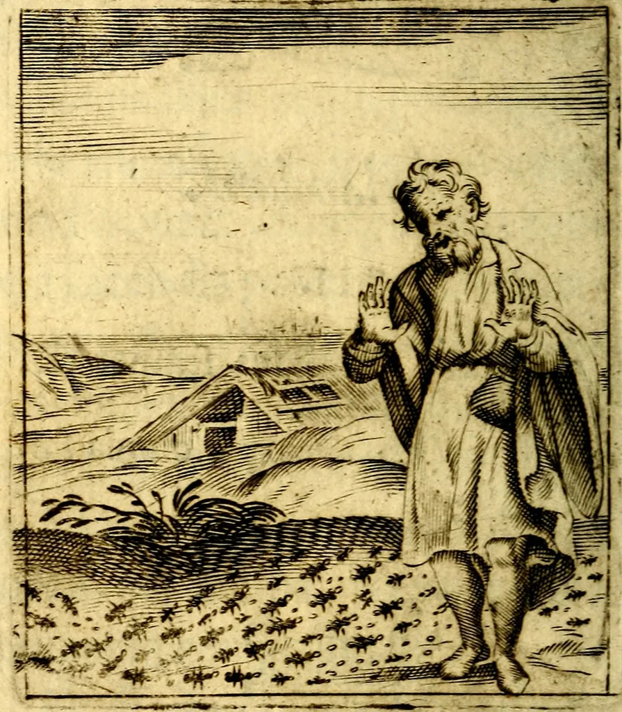 An illustration from Io: Francisci Bonomij Bononiensis Chiron Achillis, siue, Nauarchus humanæ uitæ : morali emblemate geminato ad felicitatis portum perducens, 1661, leaf 63