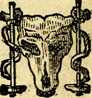 An illustration from Io: Francisci Bonomij Bononiensis Chiron Achillis, siue, Nauarchus humanæ uitæ : morali emblemate geminato ad felicitatis portum perducens, 1661, leaf 78