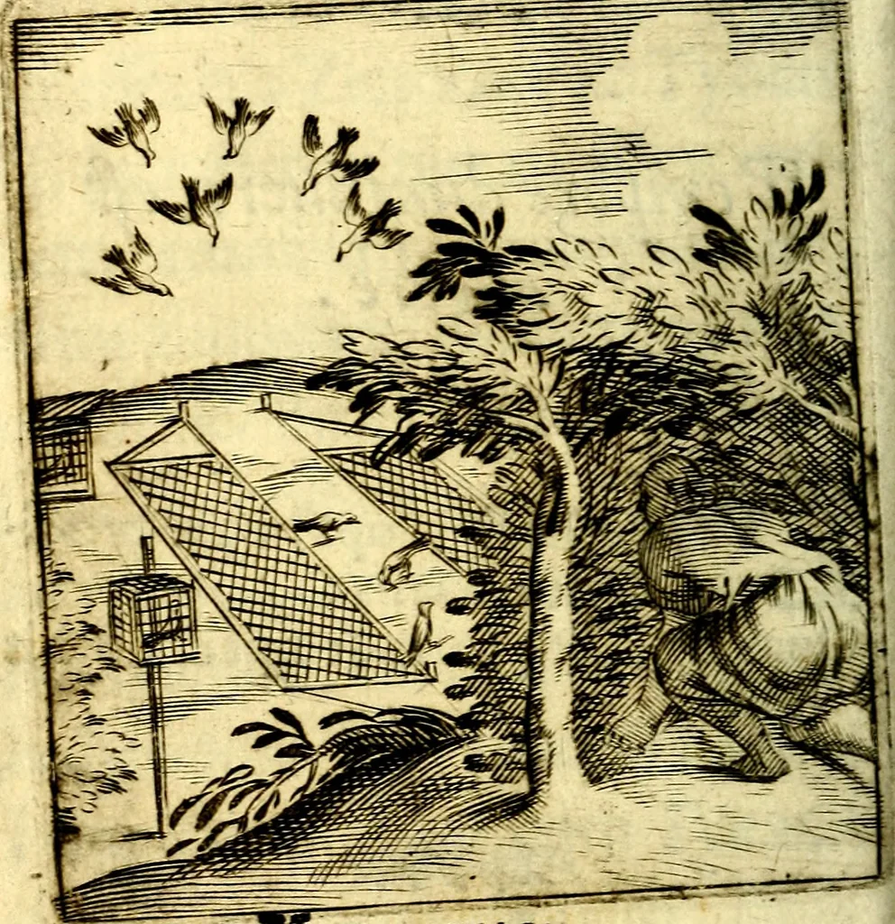 An illustration from Io: Francisci Bonomij Bononiensis Chiron Achillis, siue, Nauarchus humanæ uitæ : morali emblemate geminato ad felicitatis portum perducens, 1661, leaf 99