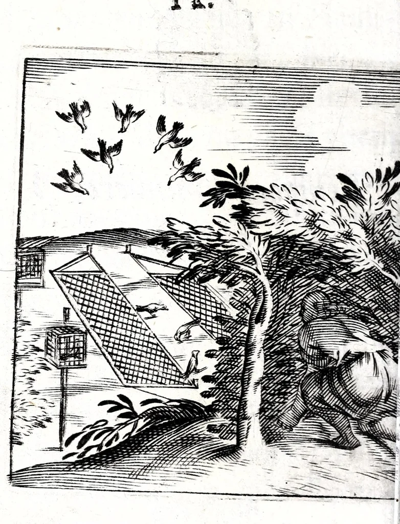 An illustration from Io. Francisci Bonomij Bononiensis Chiron Achillis, siue, Nauarchus humanae vitae : morali emblemate geminato ad felicitatis portum perducens, 1661, leaf 106