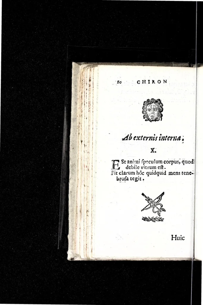 An illustration from Io. Francisci Bonomij Bononiensis Chiron Achillis, siue, Nauarchus humanae vitae : morali emblemate geminato ad felicitatis portum perducens, 1661, leaf 250