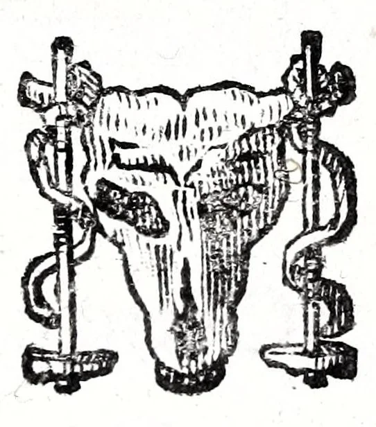 An illustration from Io. Francisci Bonomij Bononiensis Chiron Achillis, siue, Nauarchus humanae vitae : morali emblemate geminato ad felicitatis portum perducens, 1661, leaf 497