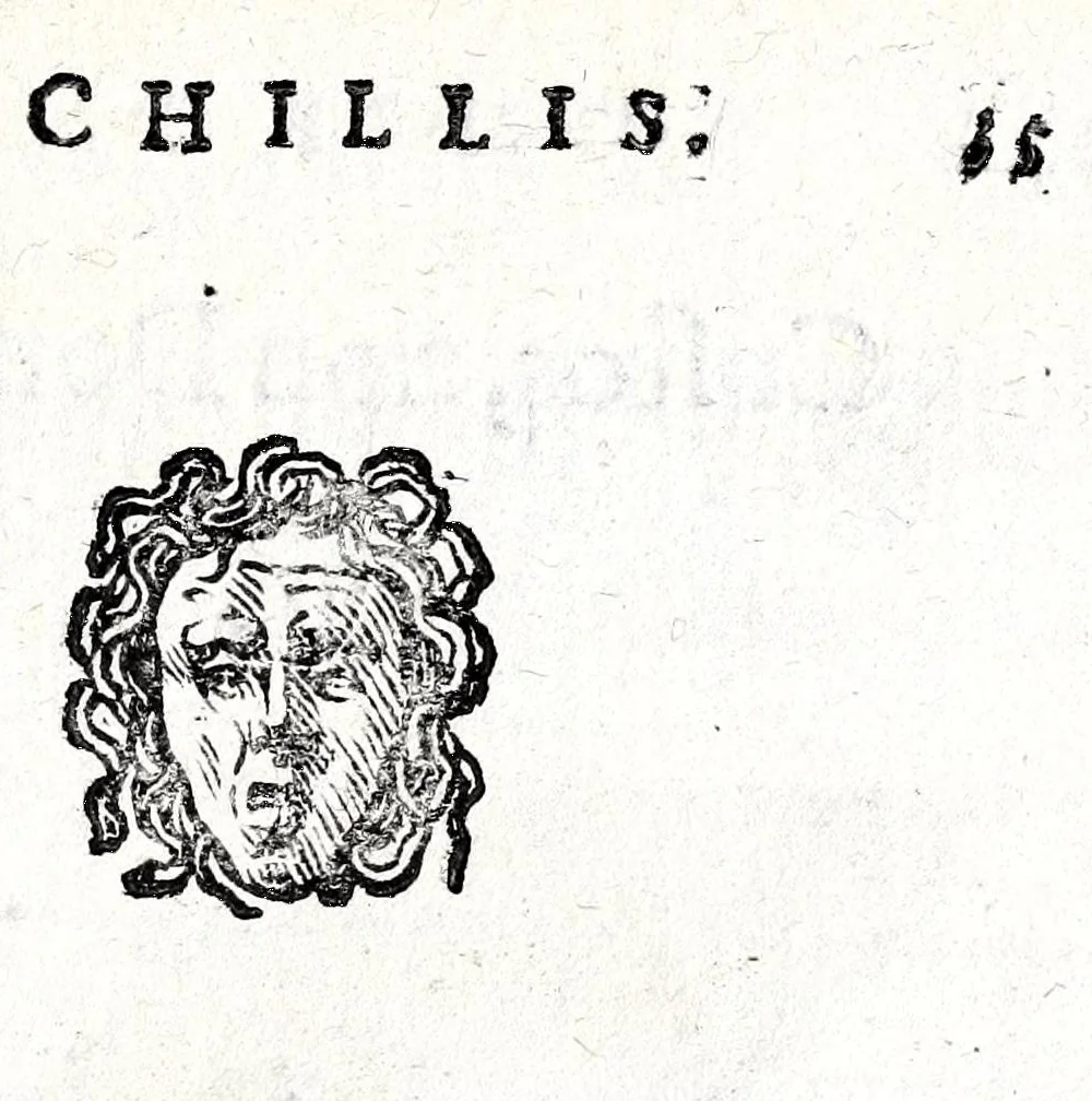 An illustration from Io. Francisci Bonomij Bononiensis Chiron Achillis, siue, Nauarchus humanae vitae : morali emblemate geminato ad felicitatis portum perducens, 1661, leaf 75