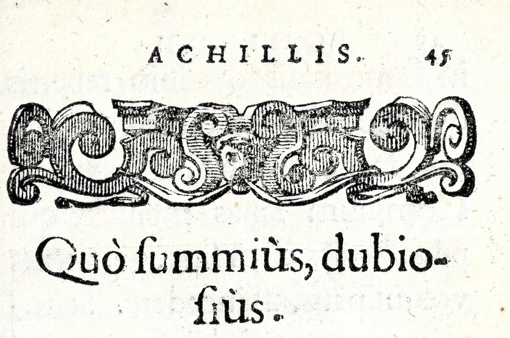 An illustration from Io. Francisci Bonomij Bononiensis Chiron Achillis, siue, Nauarchus humanae vitae : morali emblemate geminato ad felicitatis portum perducens, 1661, leaf 87