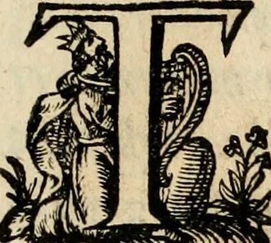 An illustration from Iohannis de Brunes I.C. Emblemata, of, Zinne-werck : voorghestelt in beelden, ghedichten en breeder uijt-legginghen, tot uijt-druckinghe en verbeteringhe van verscheijden feijlen onser eeuwe, 1624, leaf 110