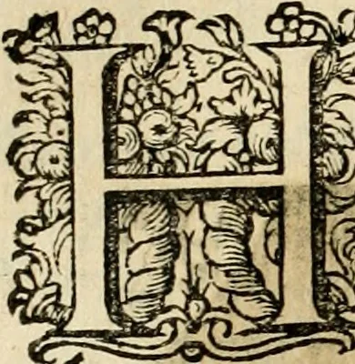 An illustration from Iohannis de Brunes I.C. Emblemata, of, Zinne-werck : voorghestelt in beelden, ghedichten en breeder uijt-legginghen, tot uijt-druckinghe en verbeteringhe van verscheijden feijlen onser eeuwe, 1624, leaf 133