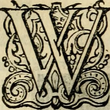 An illustration from Iohannis de Brunes I.C. Emblemata, of, Zinne-werck : voorghestelt in beelden, ghedichten en breeder uijt-legginghen, tot uijt-druckinghe en verbeteringhe van verscheijden feijlen onser eeuwe, 1624, leaf 161