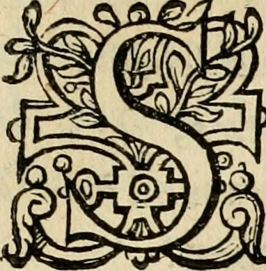 An illustration from Iohannis de Brunes I.C. Emblemata, of, Zinne-werck : voorghestelt in beelden, ghedichten en breeder uijt-legginghen, tot uijt-druckinghe en verbeteringhe van verscheijden feijlen onser eeuwe, 1624, leaf 166