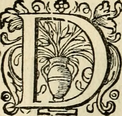 An illustration from Iohannis de Brunes I.C. Emblemata, of, Zinne-werck : voorghestelt in beelden, ghedichten en breeder uijt-legginghen, tot uijt-druckinghe en verbeteringhe van verscheijden feijlen onser eeuwe, 1624, leaf 171