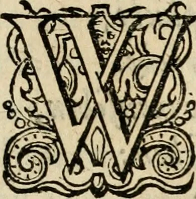 An illustration from Iohannis de Brunes I.C. Emblemata, of, Zinne-werck : voorghestelt in beelden, ghedichten en breeder uijt-legginghen, tot uijt-druckinghe en verbeteringhe van verscheijden feijlen onser eeuwe, 1624, leaf 198