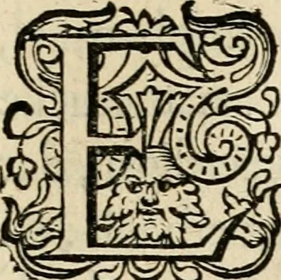 An illustration from Iohannis de Brunes I.C. Emblemata, of, Zinne-werck : voorghestelt in beelden, ghedichten en breeder uijt-legginghen, tot uijt-druckinghe en verbeteringhe van verscheijden feijlen onser eeuwe, 1624, leaf 256