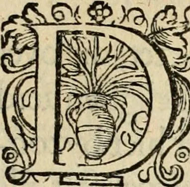 An illustration from Iohannis de Brunes I.C. Emblemata, of, Zinne-werck : voorghestelt in beelden, ghedichten en breeder uijt-legginghen, tot uijt-druckinghe en verbeteringhe van verscheijden feijlen onser eeuwe, 1624, leaf 272
