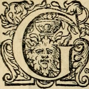 An illustration from Iohannis de Brunes I.C. Emblemata, of, Zinne-werck : voorghestelt in beelden, ghedichten en breeder uijt-legginghen, tot uijt-druckinghe en verbeteringhe van verscheijden feijlen onser eeuwe, 1624, leaf 303