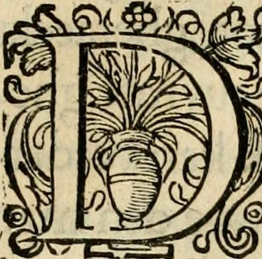 An illustration from Iohannis de Brunes I.C. Emblemata, of, Zinne-werck : voorghestelt in beelden, ghedichten en breeder uijt-legginghen, tot uijt-druckinghe en verbeteringhe van verscheijden feijlen onser eeuwe, 1624, leaf 312