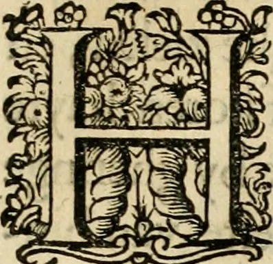 An illustration from Iohannis de Brunes I.C. Emblemata, of, Zinne-werck : voorghestelt in beelden, ghedichten en breeder uijt-legginghen, tot uijt-druckinghe en verbeteringhe van verscheijden feijlen onser eeuwe, 1624, leaf 336