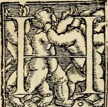 An illustration from Iohannis de Brunes I.C. Emblemata, of, Zinne-werck : voorghestelt in beelden, ghedichten en breeder uijt-legginghen, tot uijt-druckinghe en verbeteringhe van verscheijden feijlen onser eeuwe, 1624, leaf 341