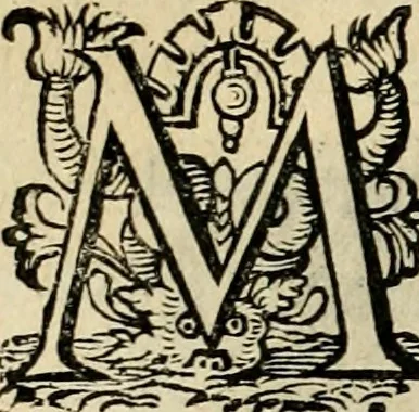 An illustration from Iohannis de Brunes I.C. Emblemata, of, Zinne-werck : voorghestelt in beelden, ghedichten en breeder uijt-legginghen, tot uijt-druckinghe en verbeteringhe van verscheijden feijlen onser eeuwe, 1624, leaf 49