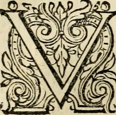 An illustration from Iohannis de Brunes I.C. Emblemata, of, Zinne-werck : voorghestelt in beelden, ghedichten en breeder uijt-legginghen, tot uijt-druckinghe en verbeteringhe van verscheijden feijlen onser eeuwe, 1624, leaf 75