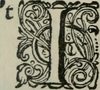 An illustration from Iohannis de Brunes I.C. Emblemata of Zinne-werck : vorghestelt, in beelden, ghedichten, en breeder uijt-legginghen, tot uijt-druckinghe, en verbeteringhe van verscheijden feijlen onser eeuwe, 1661, leaf 102