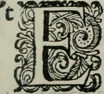 An illustration from Iohannis de Brunes I.C. Emblemata of Zinne-werck : vorghestelt, in beelden, ghedichten, en breeder uijt-legginghen, tot uijt-druckinghe, en verbeteringhe van verscheijden feijlen onser eeuwe, 1661, leaf 110
