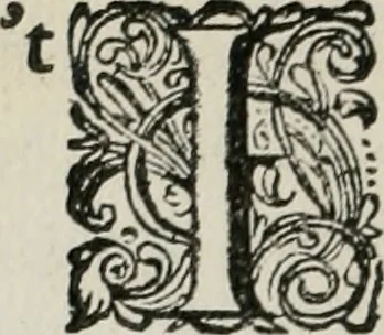 An illustration from Iohannis de Brunes I.C. Emblemata of Zinne-werck : vorghestelt, in beelden, ghedichten, en breeder uijt-legginghen, tot uijt-druckinghe, en verbeteringhe van verscheijden feijlen onser eeuwe, 1661, leaf 127