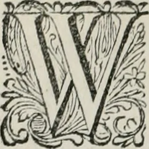 An illustration from Iohannis de Brunes I.C. Emblemata of Zinne-werck : vorghestelt, in beelden, ghedichten, en breeder uijt-legginghen, tot uijt-druckinghe, en verbeteringhe van verscheijden feijlen onser eeuwe, 1661, leaf 161