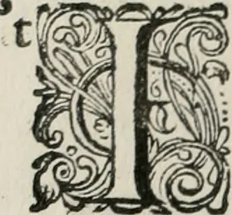 An illustration from Iohannis de Brunes I.C. Emblemata of Zinne-werck : vorghestelt, in beelden, ghedichten, en breeder uijt-legginghen, tot uijt-druckinghe, en verbeteringhe van verscheijden feijlen onser eeuwe, 1661, leaf 191