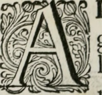 An illustration from Iohannis de Brunes I.C. Emblemata of Zinne-werck : vorghestelt, in beelden, ghedichten, en breeder uijt-legginghen, tot uijt-druckinghe, en verbeteringhe van verscheijden feijlen onser eeuwe, 1661, leaf 35