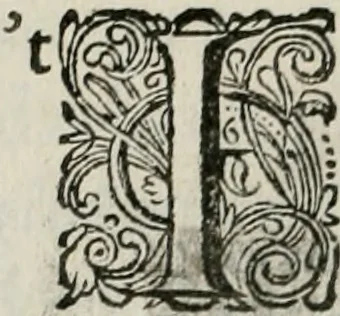 An illustration from Iohannis de Brunes I.C. Emblemata of Zinne-werck : vorghestelt, in beelden, ghedichten, en breeder uijt-legginghen, tot uijt-druckinghe, en verbeteringhe van verscheijden feijlen onser eeuwe, 1661, leaf 357