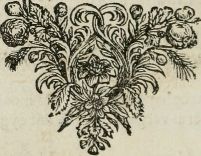 An illustration from Iohannis de Brunes I.C. Emblemata of Zinne-werck : vorghestelt, in beelden, ghedichten, en breeder uijt-legginghen, tot uijt-druckinghe, en verbeteringhe van verscheijden feijlen onser eeuwe, 1661, leaf 397