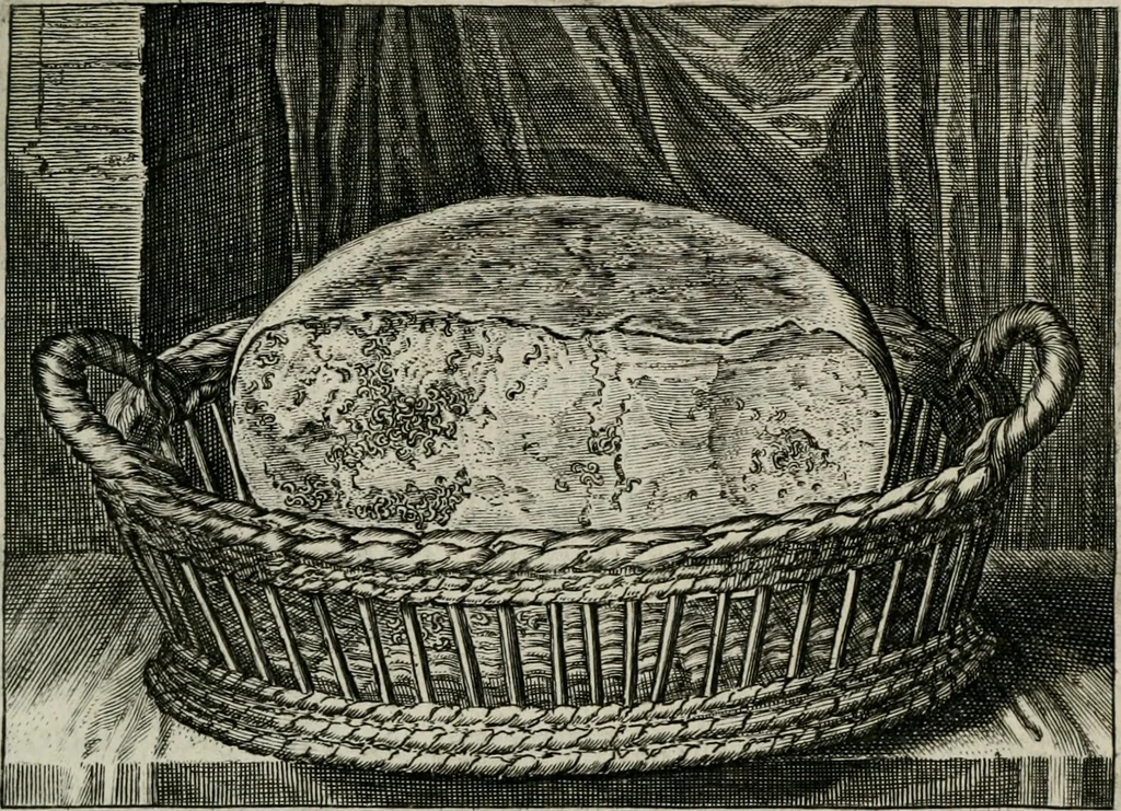 An illustration from Iohannis de Brunes I.C. Emblemata of Zinne-werck : vorghestelt, in beelden, ghedichten, en breeder uijt-legginghen, tot uijt-druckinghe, en verbeteringhe van verscheijden feijlen onser eeuwe, 1661, leaf 68