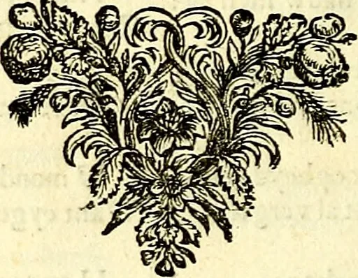 An illustration from Iohannis de Brunes I.C. Emblemata of Zinne-werck : voorghestelt, in Beelden, ghedichten, en breeder uijt-legginghen, tot uijt-druckinghe, en verbeteringhe van verscheijden feijlen onser eeuwe, 1661, leaf 391