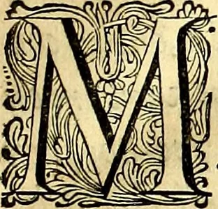 An illustration from Iohannis de Brunes I.C. Emblemata of Zinne-werck : voorghestelt, in Beelden, ghedichten, en breeder uijt-legginghen, tot uijt-druckinghe, en verbeteringhe van verscheijden feijlen onser eeuwe, 1661, leaf 10