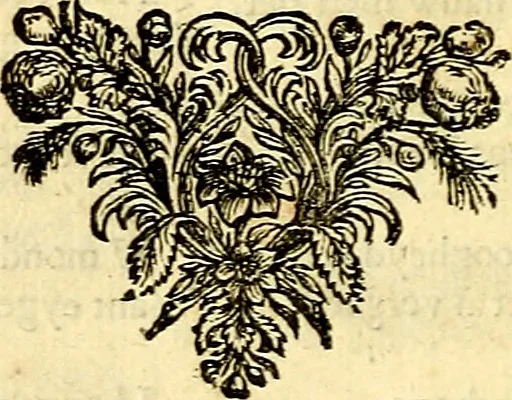 An illustration from Iohannis de Brunes I.C. Emblemata of Zinne-werck : voorghestelt, in Beelden, ghedichten, en breeder uijt-legginghen, tot uijt-druckinghe, en verbeteringhe van verscheijden feijlen onser eeuwe, 1661, leaf 395