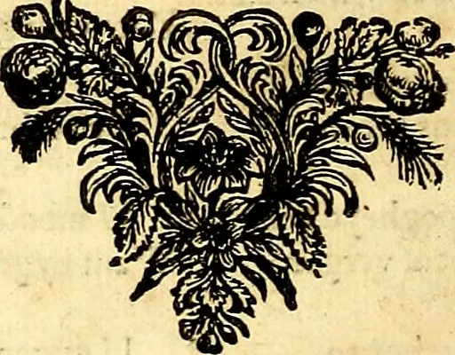 An illustration from Iohannis de Brunes I.C. Emblemata of Zinne-werck : voorghestelt, in Beelden, ghedichten, en breeder uijt-legginghen, tot uijt-druckinghe, en verbeteringhe van verscheijden feijlen onser eeuwe, 1661, leaf 393