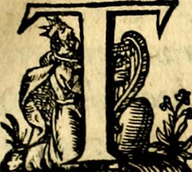 An illustration from Iohannis de Brunes I.C. Emblemata of Zinne-werck : voorghesteet, In Beelden, ghedichten, en breeder uijt-legginghen tot uijt-druckinghe, en verbeteringhe van verscheijden teijlen onser eeuwe. Spe et metu, 1624, leaf 108