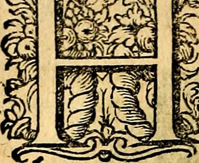 An illustration from Iohannis de Brunes I.C. Emblemata of Zinne-werck : voorghesteet, In Beelden, ghedichten, en breeder uijt-legginghen tot uijt-druckinghe, en verbeteringhe van verscheijden teijlen onser eeuwe. Spe et metu, 1624, leaf 131