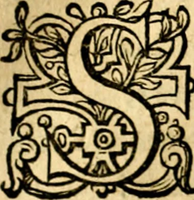 An illustration from Iohannis de Brunes I.C. Emblemata of Zinne-werck : voorghesteet, In Beelden, ghedichten, en breeder uijt-legginghen tot uijt-druckinghe, en verbeteringhe van verscheijden teijlen onser eeuwe. Spe et metu, 1624, leaf 164