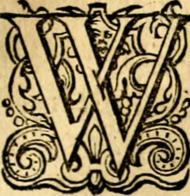 An illustration from Iohannis de Brunes I.C. Emblemata of Zinne-werck : voorghesteet, In Beelden, ghedichten, en breeder uijt-legginghen tot uijt-druckinghe, en verbeteringhe van verscheijden teijlen onser eeuwe. Spe et metu, 1624, leaf 196