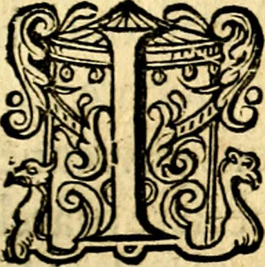 An illustration from Iohannis de Brunes I.C. Emblemata of Zinne-werck : voorghesteet, In Beelden, ghedichten, en breeder uijt-legginghen tot uijt-druckinghe, en verbeteringhe van verscheijden teijlen onser eeuwe. Spe et metu, 1624, leaf 220