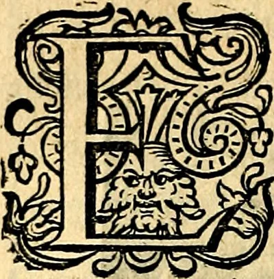 An illustration from Iohannis de Brunes I.C. Emblemata of Zinne-werck : voorghesteet, In Beelden, ghedichten, en breeder uijt-legginghen tot uijt-druckinghe, en verbeteringhe van verscheijden teijlen onser eeuwe. Spe et metu, 1624, leaf 229