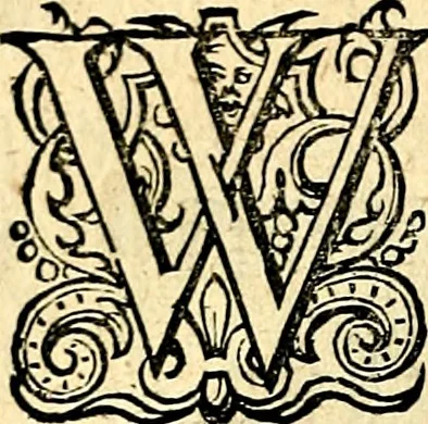 An illustration from Iohannis de Brunes I.C. Emblemata of Zinne-werck : voorghesteet, In Beelden, ghedichten, en breeder uijt-legginghen tot uijt-druckinghe, en verbeteringhe van verscheijden teijlen onser eeuwe. Spe et metu, 1624, leaf 25
