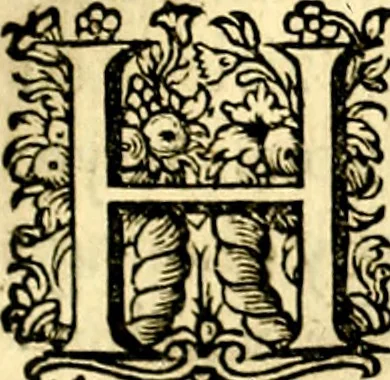 An illustration from Iohannis de Brunes I.C. Emblemata of Zinne-werck : voorghesteet, In Beelden, ghedichten, en breeder uijt-legginghen tot uijt-druckinghe, en verbeteringhe van verscheijden teijlen onser eeuwe. Spe et metu, 1624, leaf 334