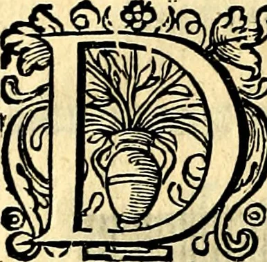 An illustration from Iohannis de Brunes I.C. Emblemata of Zinne-werck : voorghesteet, In Beelden, ghedichten, en breeder uijt-legginghen tot uijt-druckinghe, en verbeteringhe van verscheijden teijlen onser eeuwe. Spe et metu, 1624, leaf 361
